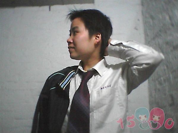 情在紫