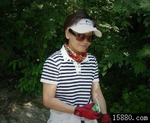 sunny8231
