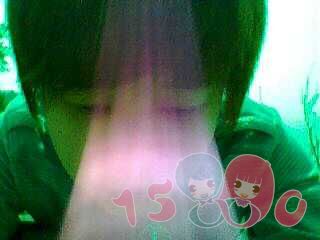 不点2011