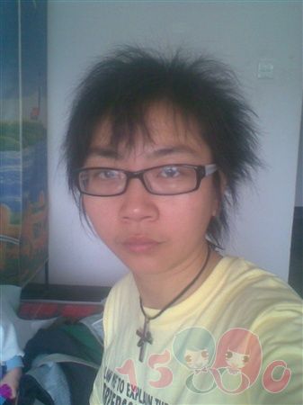梧桐树下