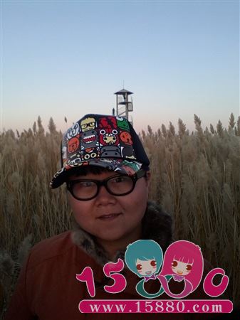 小野猪翻滚吧