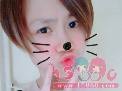 豆丁兔子