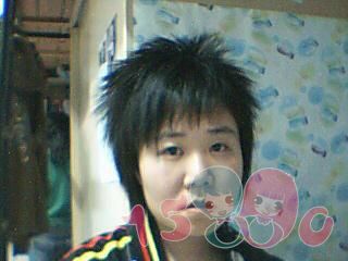 shane