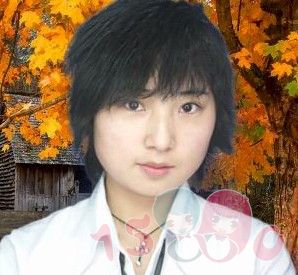 潮落的地方