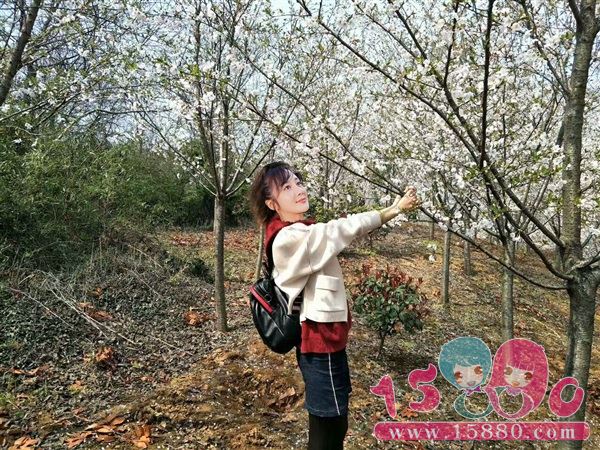 天边彩虹