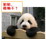 最真的生活