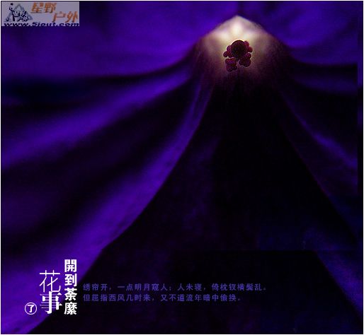 彼堓の繁华