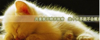 我可不可以也不睁开眼   /鱼是今生