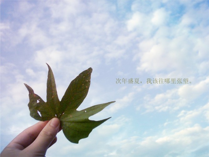 深入骨髓的les情结，无人能懂