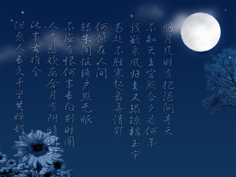 人生感悟