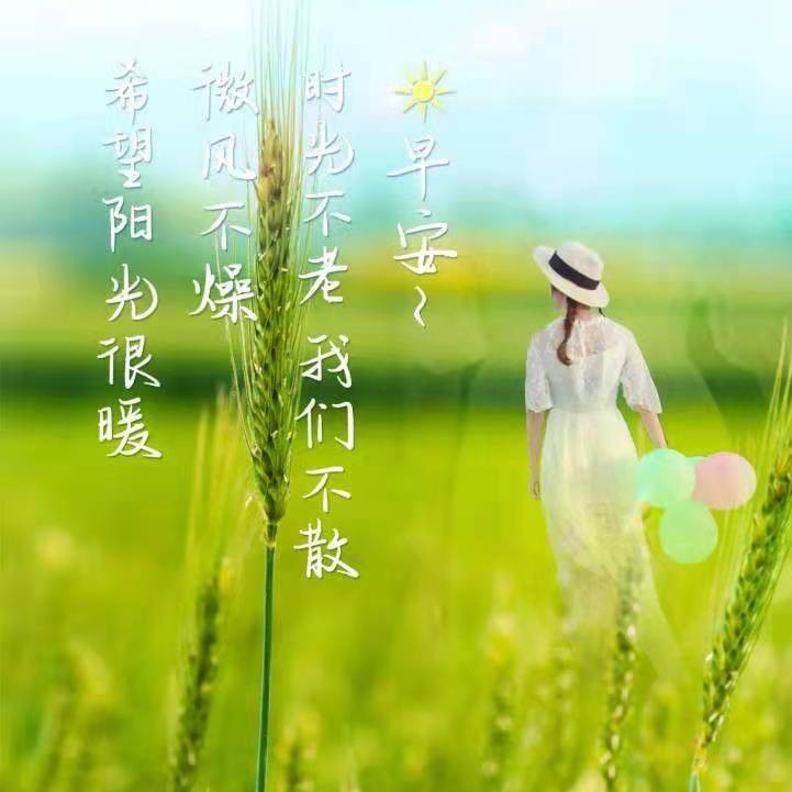 未朴