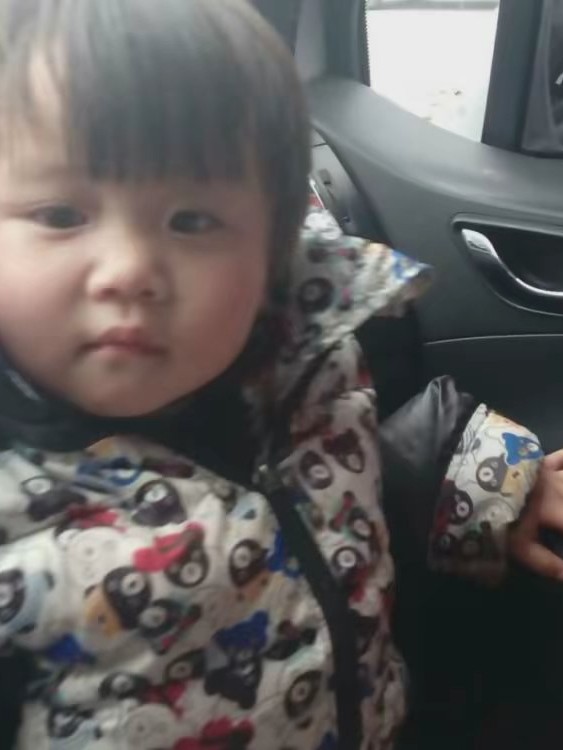 梓苗