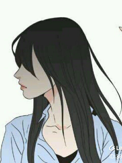 烟花不冷
