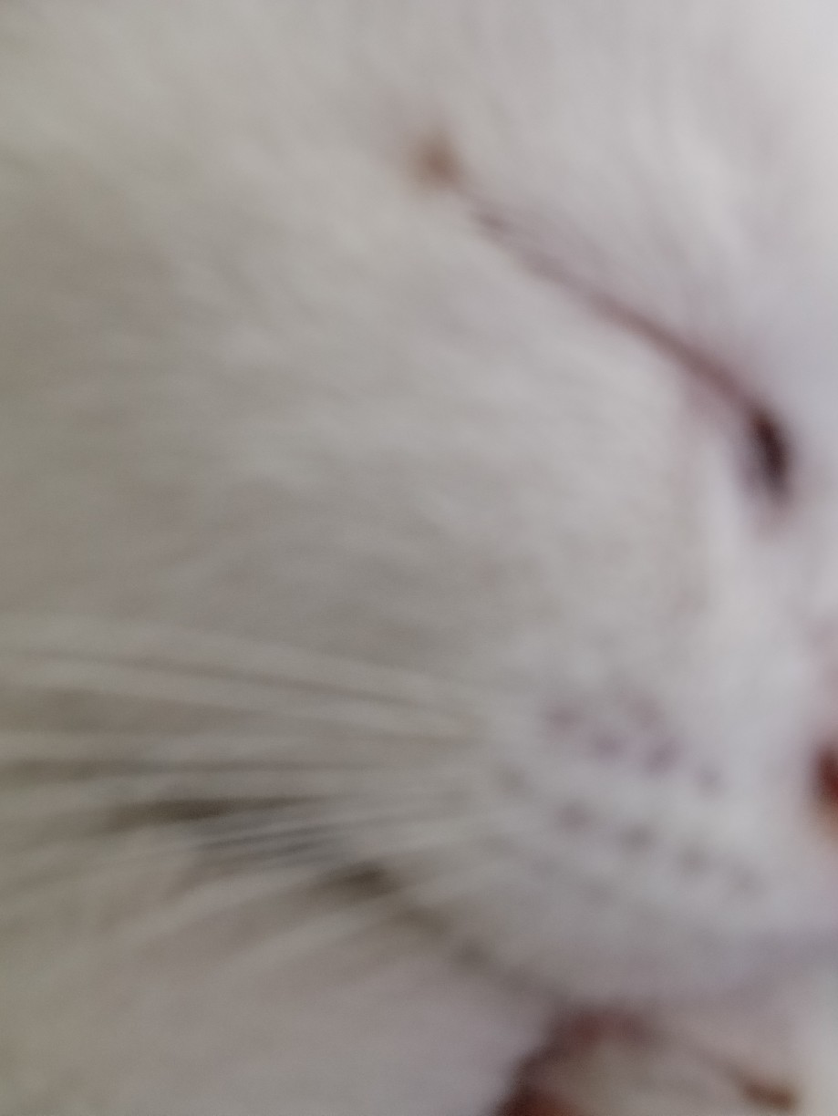 碌碌