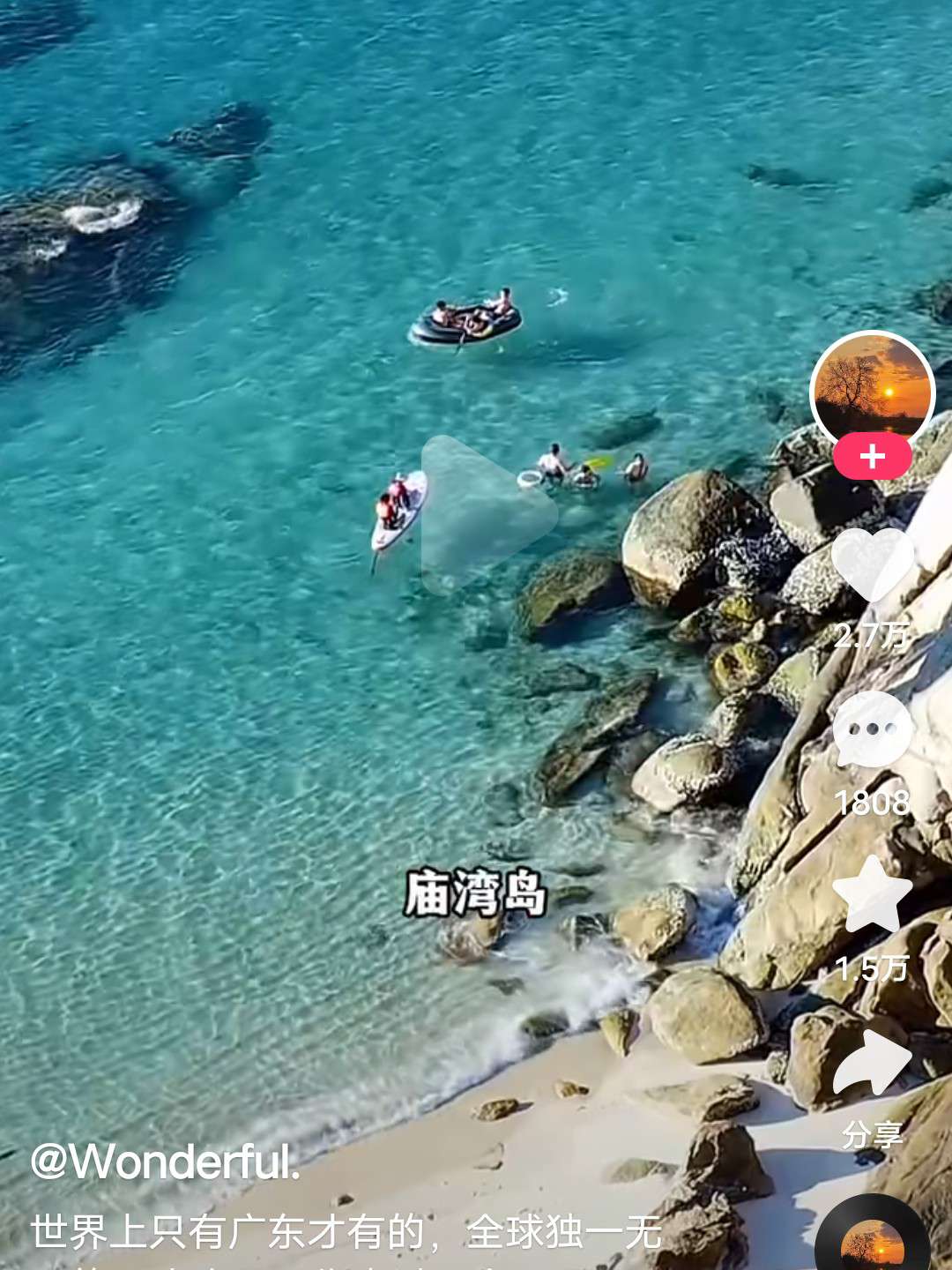海白515