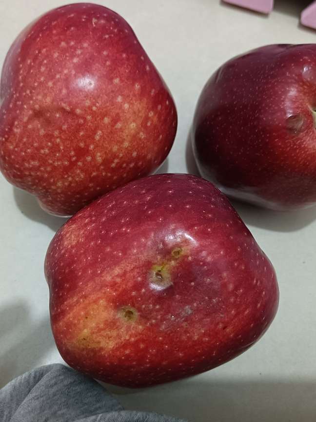 辞辞11