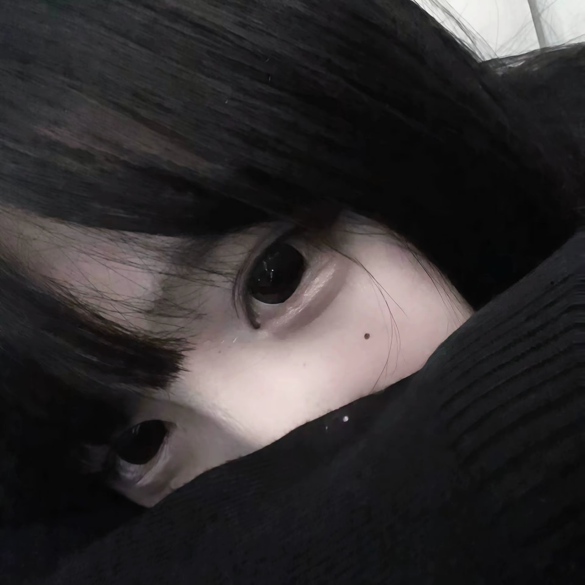 羽锦