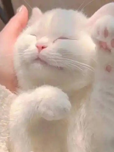 聆听