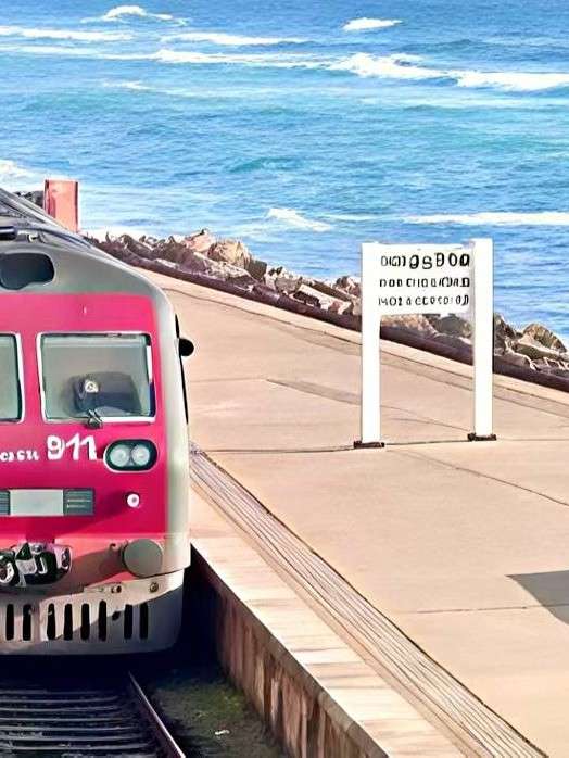 永逝我愛，身後無人