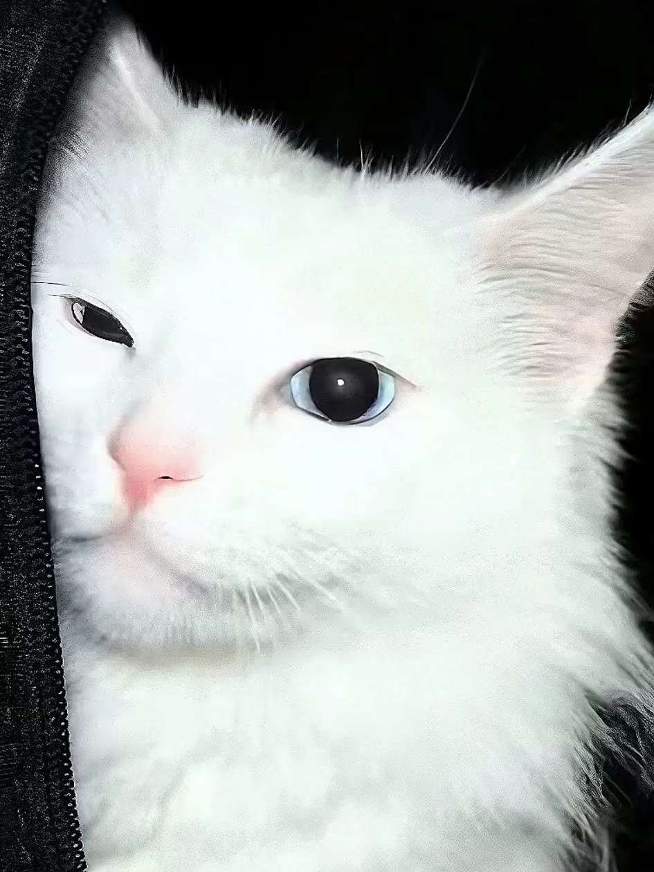 秋尽卿