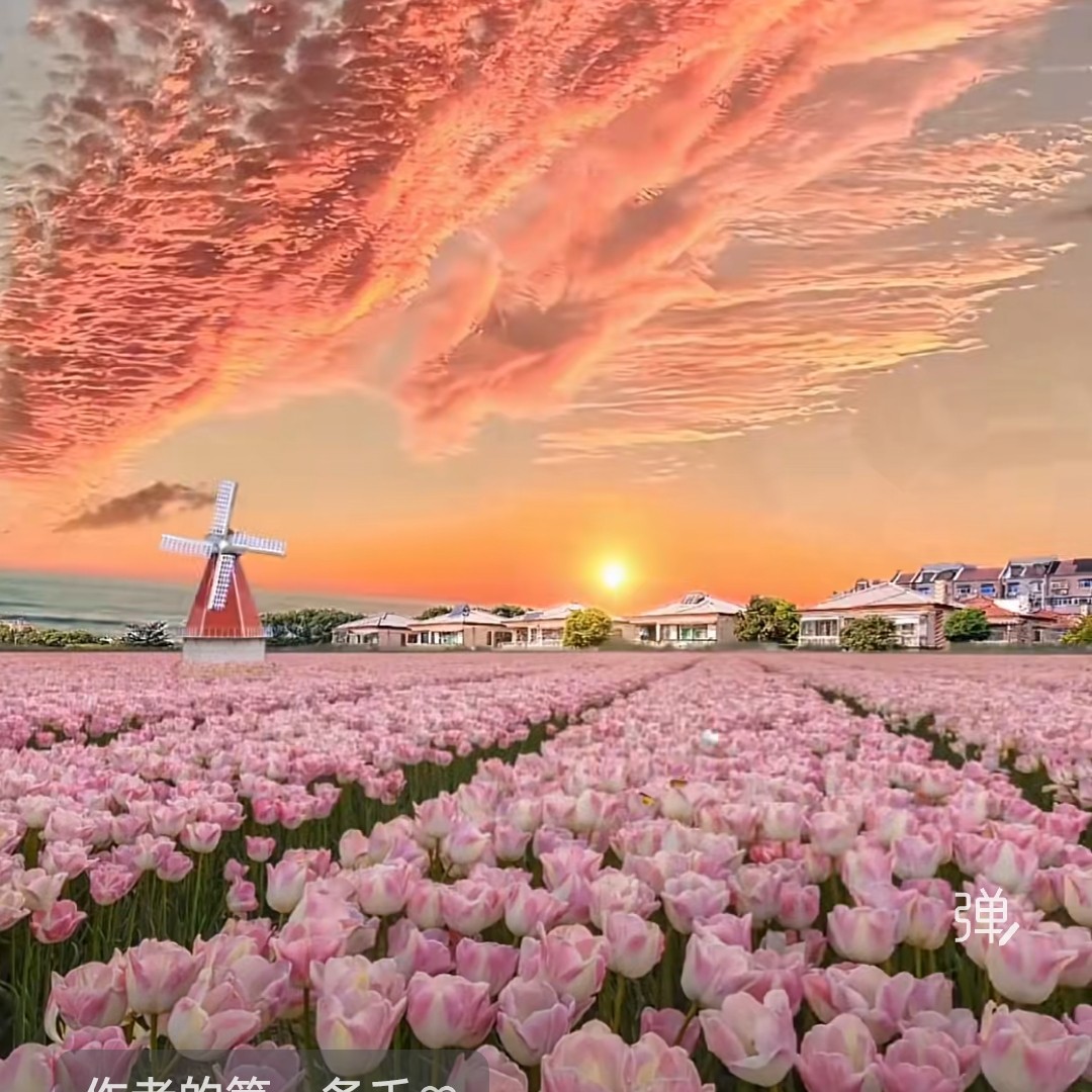 旺旺